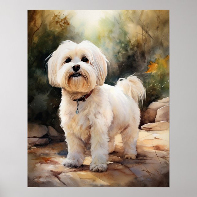 Coton De Tulear Dog Art Print Poster (Vorne)