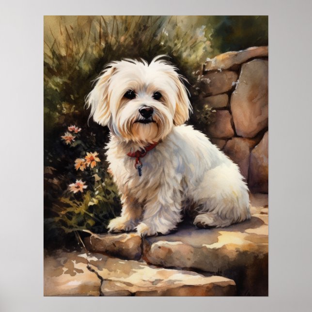 Coton De Tulear Dog Art Print Poster (Vorne)