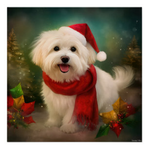 Coton De Tulear Dog in Schnee Weihnachten Poster