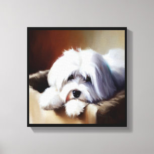Coton de Tulear Dog Leinwanddruck