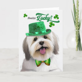 Coton de Tulear Dog Lucky St Patrick's Day Feiertagskarte