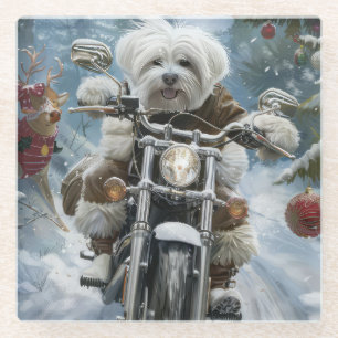 Coton De Tulear Dog Riding Motorrad Weihnachten Glasuntersetzer