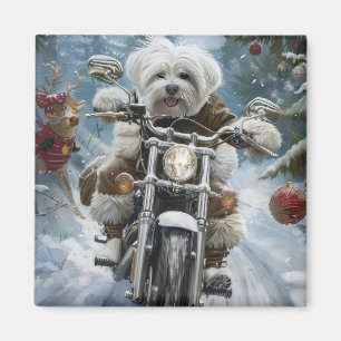 Coton De Tulear Dog Riding Motorrad Weihnachten Magnet