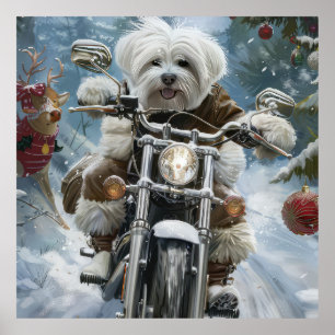 Coton De Tulear Dog Riding Motorrad Weihnachten Poster