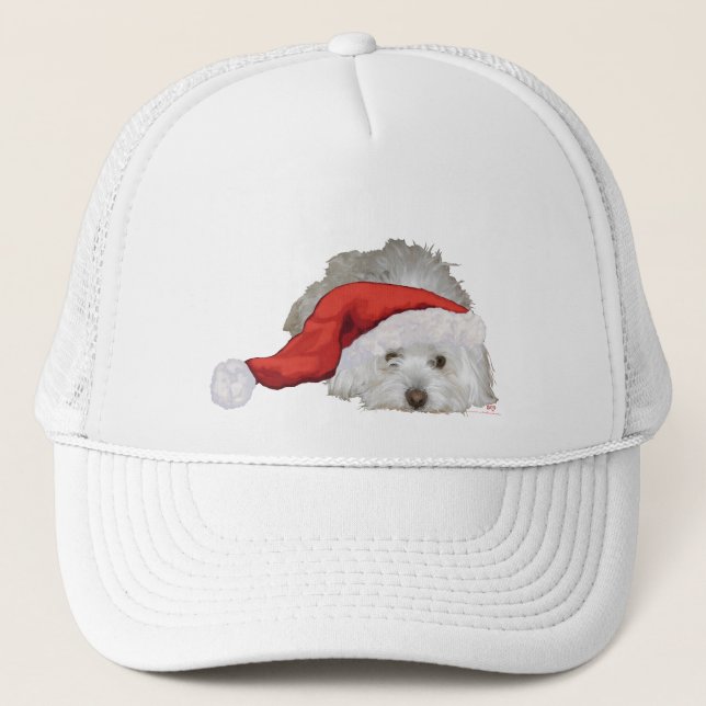 Coton de Tulear - Gewartet Truckerkappe (Vorderseite)