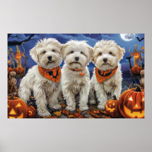 Coton De Tulear Halloween Gruselig Poster