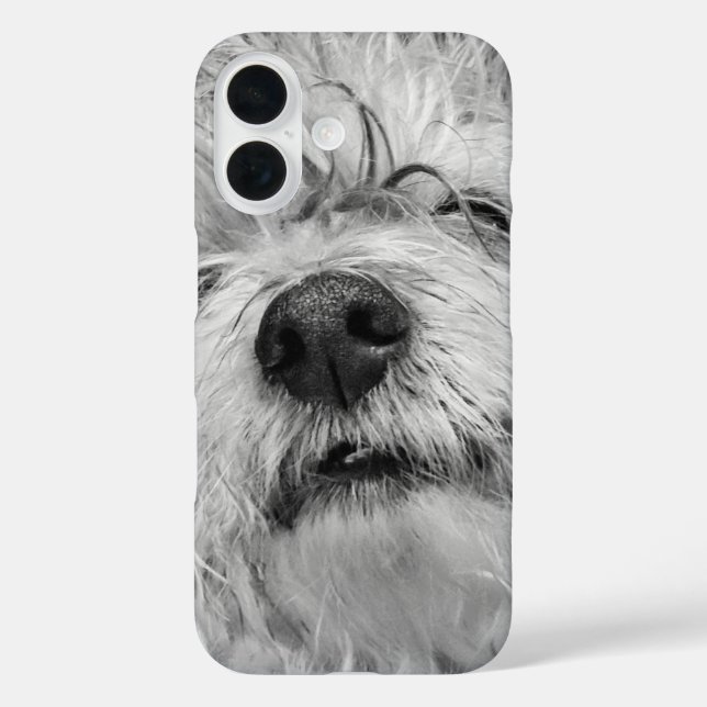 Coton de Tulear Hund Case-Mate iPhone Hülle (Rückseite)