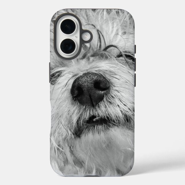 Coton de Tulear Hund Case-Mate iPhone Hülle (Rückseite)