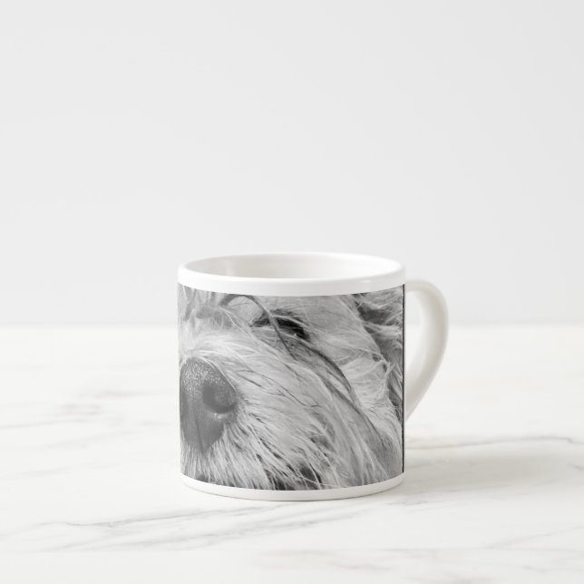 Coton de Tulear Hund Espressotasse (Vorderseite Rechts)