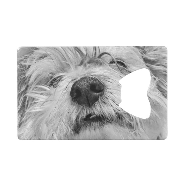 Coton de Tulear Hund Geldbeutel Flaschenöffner (Vorderseite (Horizontal))