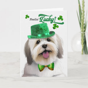 Coton de Tulear Hund Glücklicher St. Patrick's Day Feiertagskarte