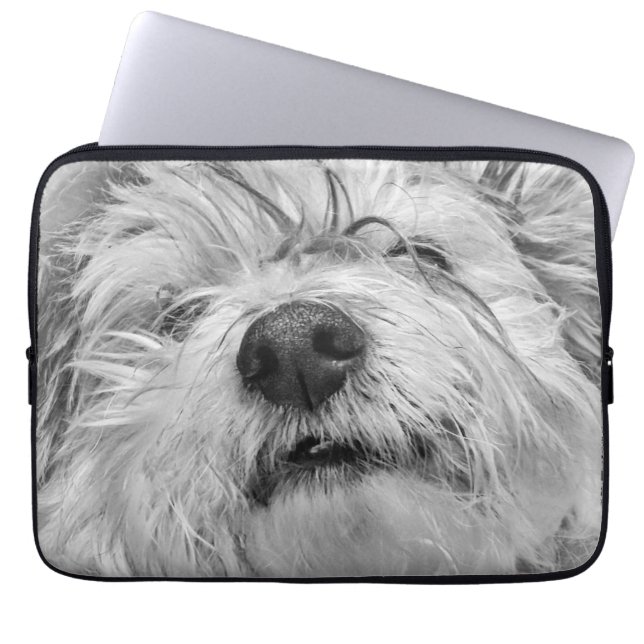 Coton de Tulear Hund Laptopschutzhülle (Vorderseite)