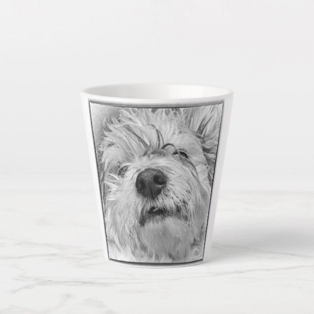 Coton de Tulear Hund Milchtasse (Vorderseite)