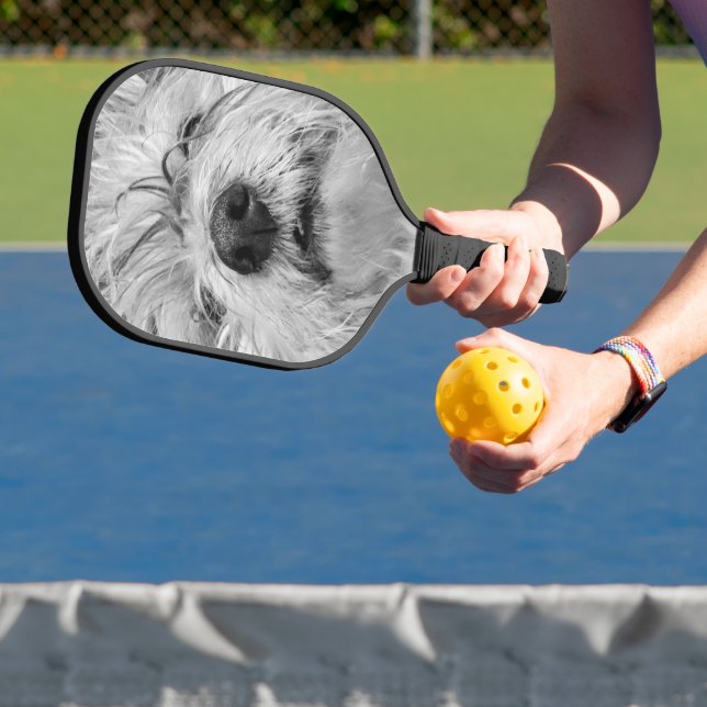 Coton de Tulear Hund Pickleball Schläger (InSitu)