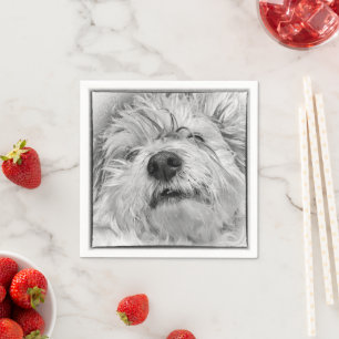 Coton de Tulear Hund Serviette