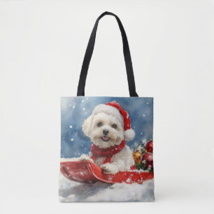 Coton De Tulear im Schlitten Lass es schneien Weih