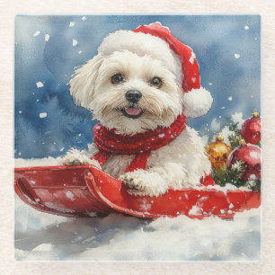 Coton De Tulear im Schlitten Lass es schneien Weih Glasuntersetzer
