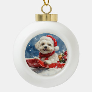 Coton De Tulear im Schlitten Lass es schneien Weih Keramik Kugel-Ornament