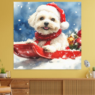 Coton De Tulear im Schlitten Lass es schneien Weih Leinwanddruck