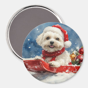Coton De Tulear im Schlitten Lass es schneien Weih Magnet