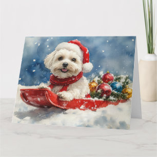Coton De Tulear in Sledge Let it Snow Christmas Dankeskarte