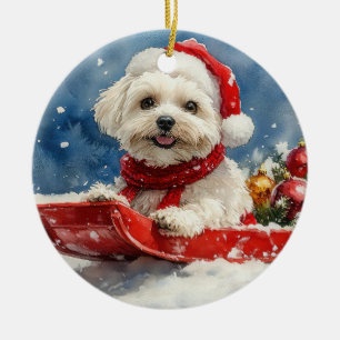 Coton De Tulear in Sledge Let it Snow Christmas Keramik Ornament
