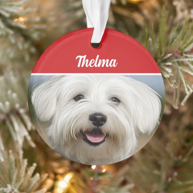 Coton de Tulear Name Foto Weihnachten Ornament (Baum)