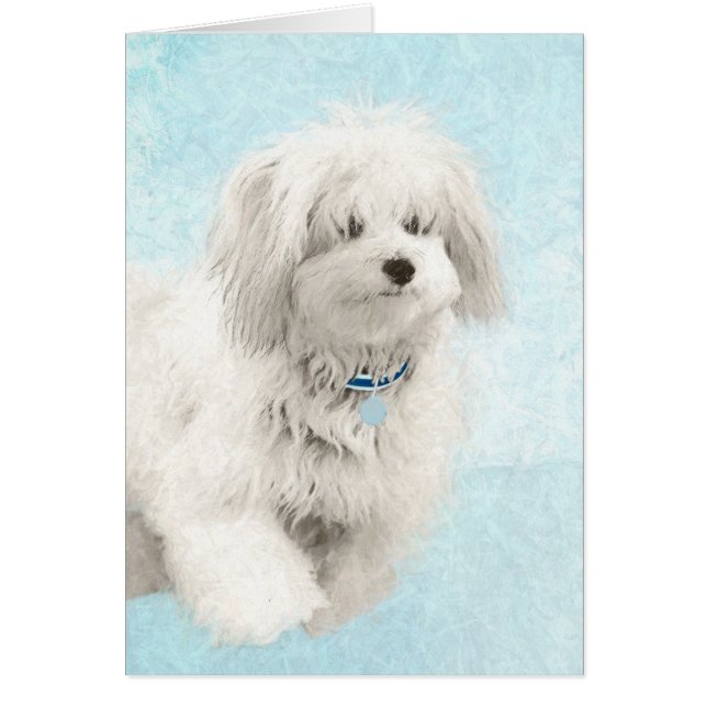 Coton de Tulear Painting - Niedliche Original Dog  (Vorne)