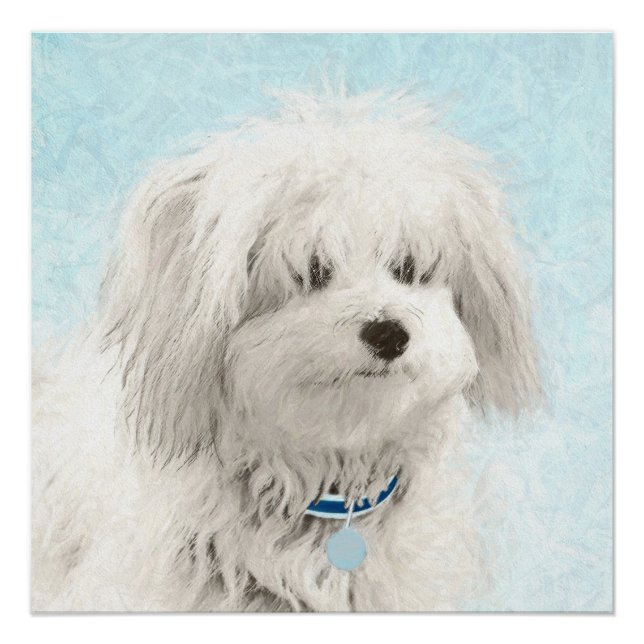 Coton de Tulear Painting - Niedliche Original Dog  Poster (Vorderseite)