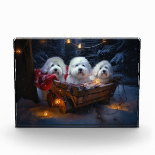 Coton De Tulear Snowy Sleigh Weihnachtsdekor Fotoblock