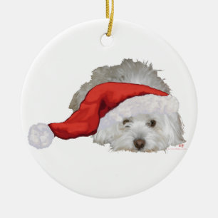 Coton de Tulear - Wartend Keramik Ornament