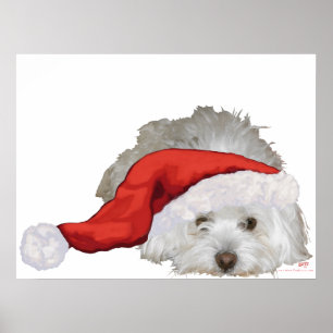 Coton de Tulear - Wartend Poster