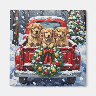 Coton de Tulear Weihnachtsroter LKW Urlaub Magnet