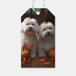 Coton De Tulear Welpe Herbstfreude Kürbis Geschenkanhänger