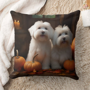 Coton De Tulear Welpe Herbstfreude Kürbis Kissen