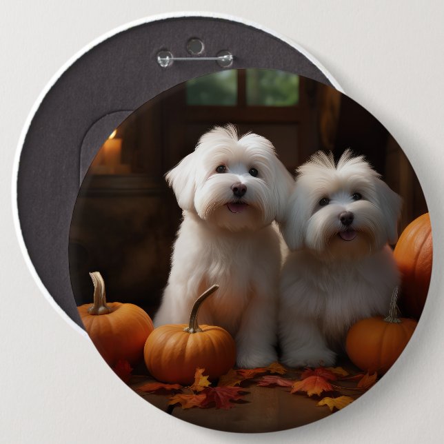 Coton De Tulear Welppy Autumn Delight Pumpkin Button (Vorne & Hinten)