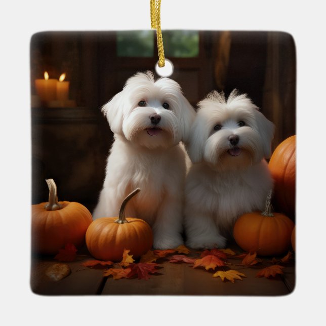Coton De Tulear Welppy Autumn Delight Pumpkin Keramikornament (Vorderseite)