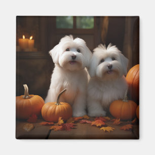 Coton De Tulear Welppy Autumn Delight Pumpkin Magnet