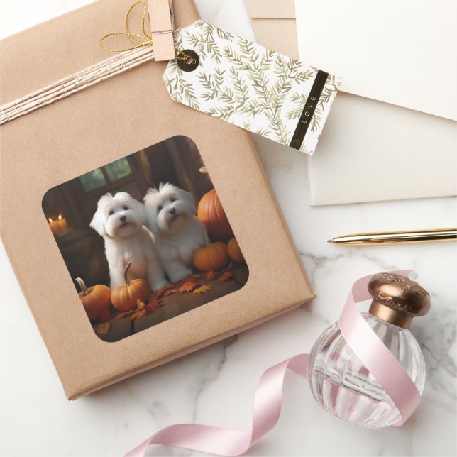 Coton De Tulear Welppy Autumn Delight Pumpkin Quadratischer Aufkleber (Schenken)