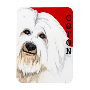 Coton-Farbblock Magnet