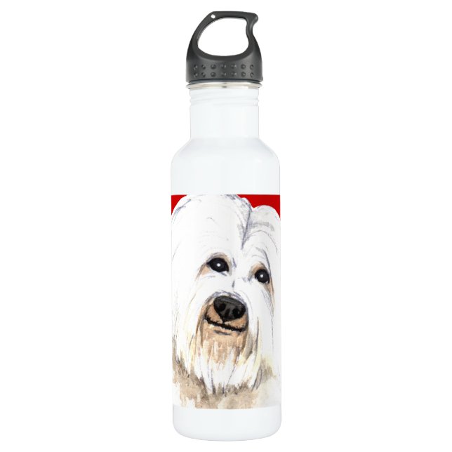 Coton-Farbblock Trinkflasche (Vorderseite)