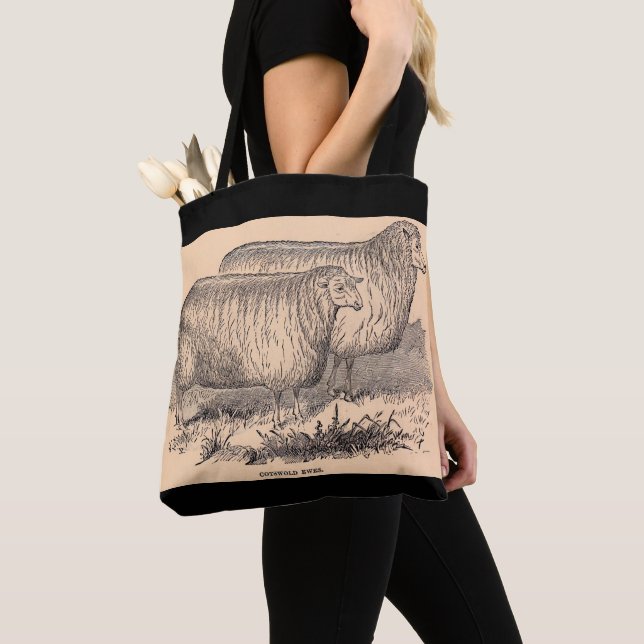 Cotswold ewes print aus dem 19. Jahrhundert (Von Nahem)