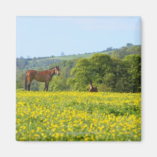 Cotswolds, Großbritannien Magnet