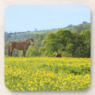 Cotswolds, Großbritannien Untersetzer