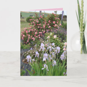 Cottage-Garten-Schwertlilien-Rosen-Schönheit-Blume Karte