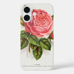 Cottagecore Antike Pink-Rosen-Blumenillustration iPhone 16 Hülle