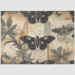 Cottagecore Mondschmetterling Botanik Apotheke Seidenpapier