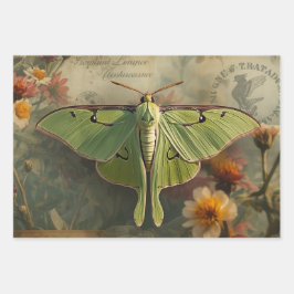 Cottagecore Moon Moth Gothic Moon Moth Nocturne Geschenkpapier Set