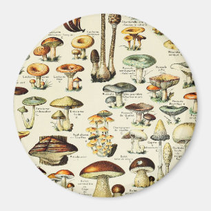 Cottagecore Pilze Vintage Naturforscher Magnet