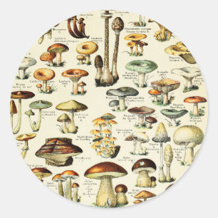 Cottagecore-Pilze Vintage-Naturforscher Runder Aufkleber